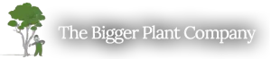 The Bigger Plant Company