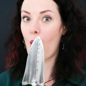 Alison Johnston